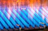 Steeple gas fired boilers